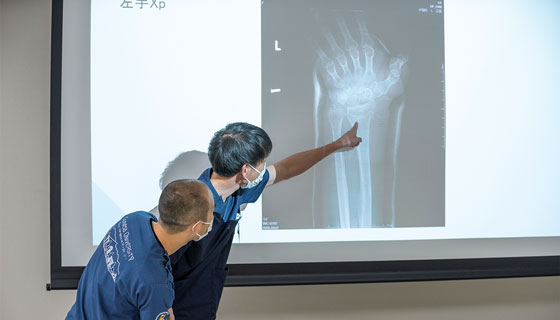 年間スケジュール