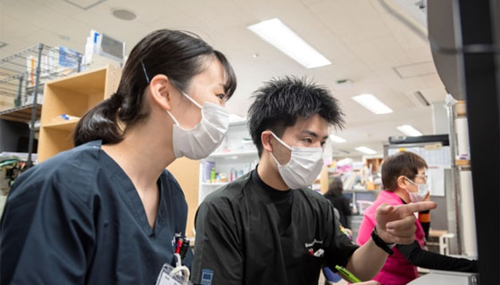 研修医プログラム