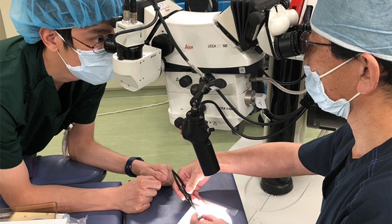 年間スケジュール